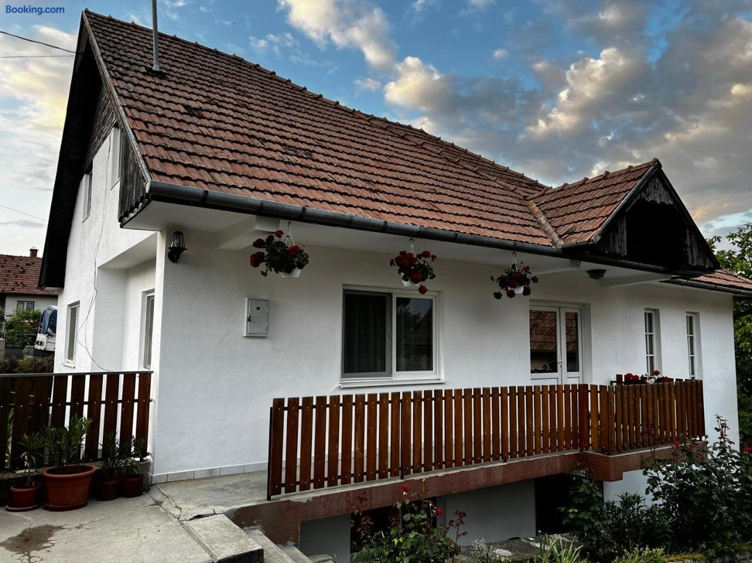 Balazs Vendeghaz