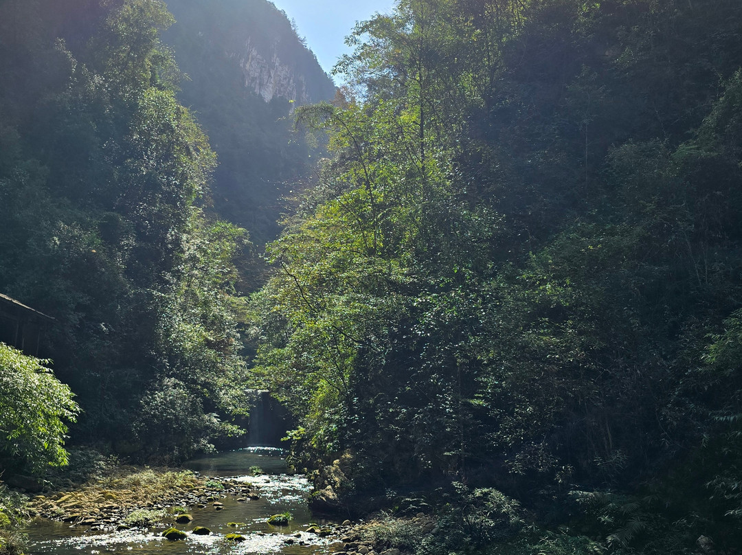 China Highlights-张家界市必去景点