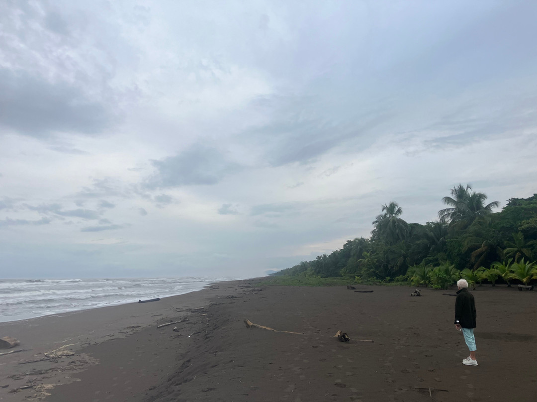 Playa Tortuguero