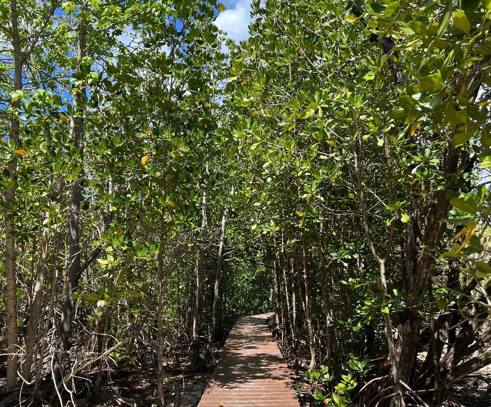 Ziblo Boat Charter-普拉兰岛必去景点