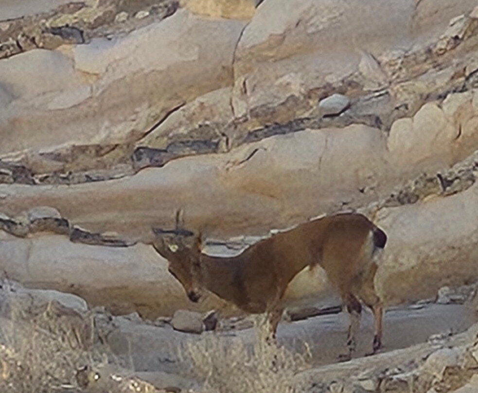 Zin River-贝尔谢巴必去景点