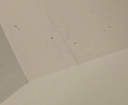 Hotel Kanjon Zrmanje主图