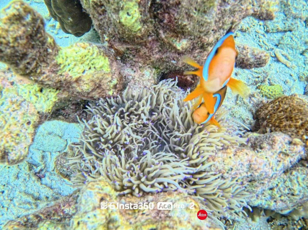 娜鲁萱岛度假村主图