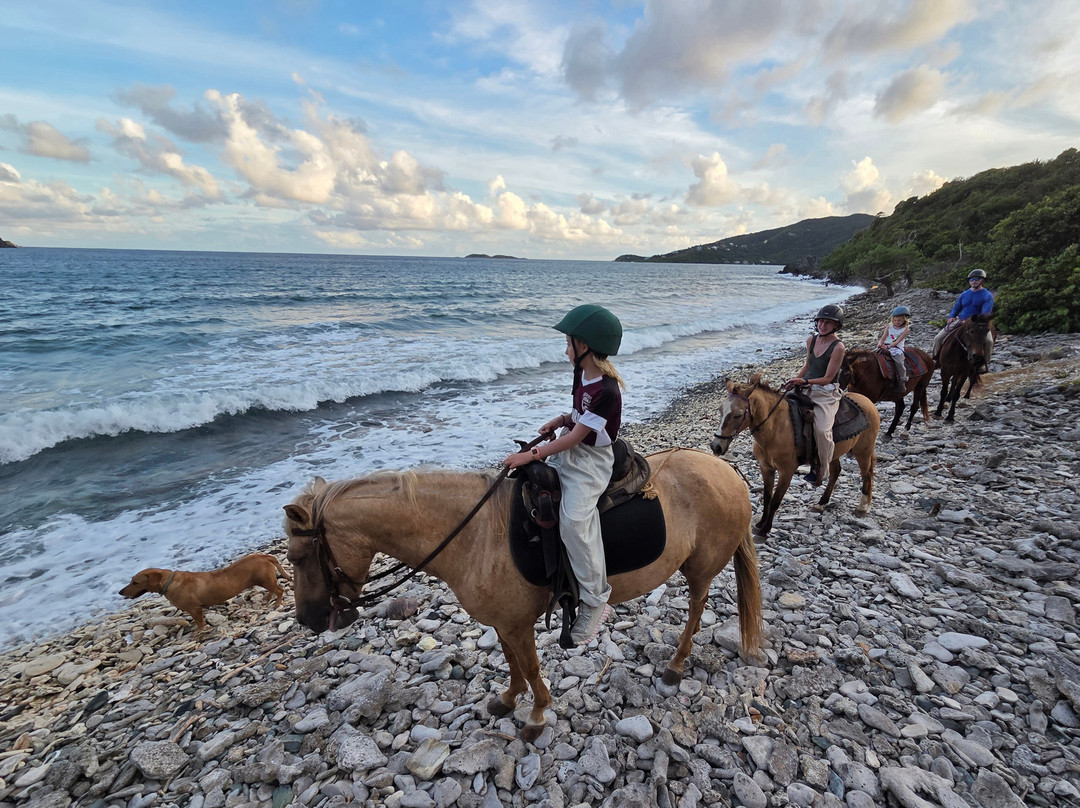 Carolina Corral-Coral Bay必去景点