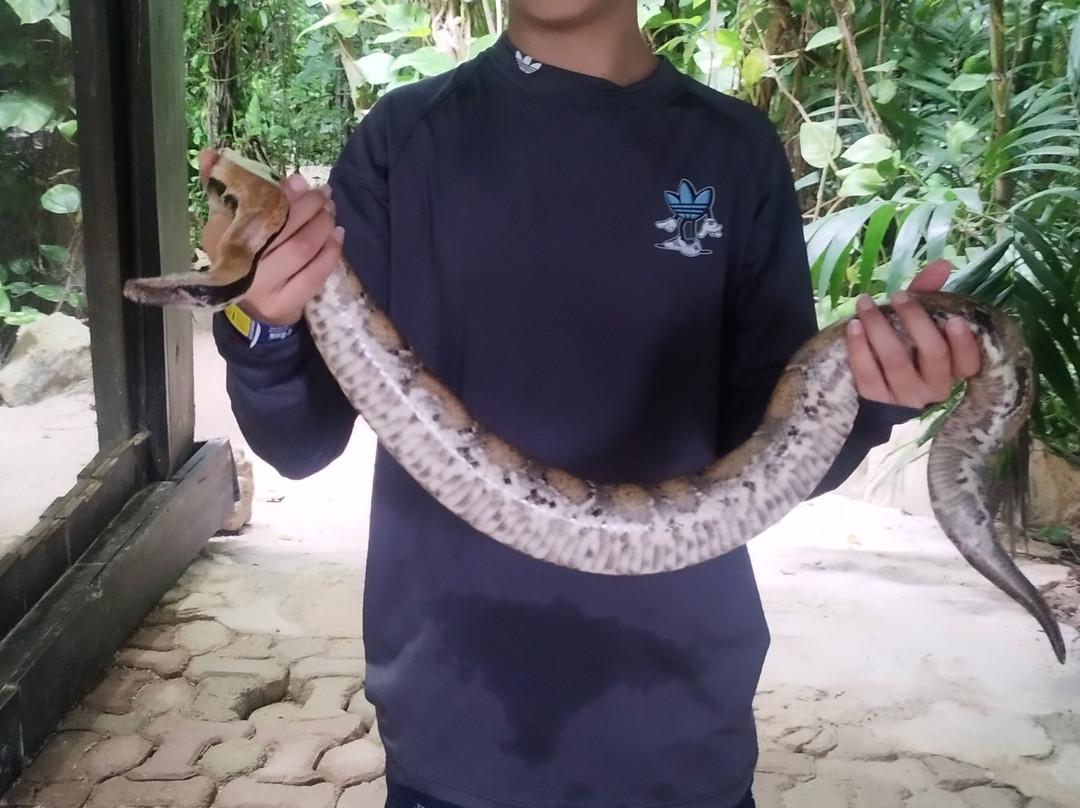 Croco Cun Zoo-从莫雷洛斯港必去景点