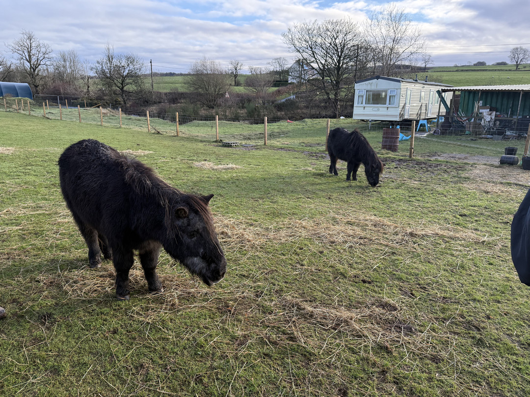 Harmony Fields-Buchlyvie必去景点