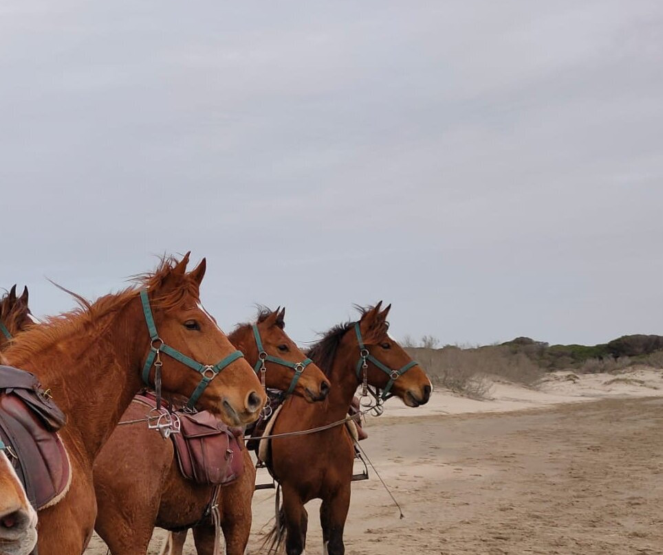 Caval'Form-Chasselay必去景点