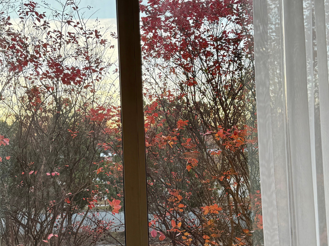 Hyatt Place Chesapeake Greenbrier主图