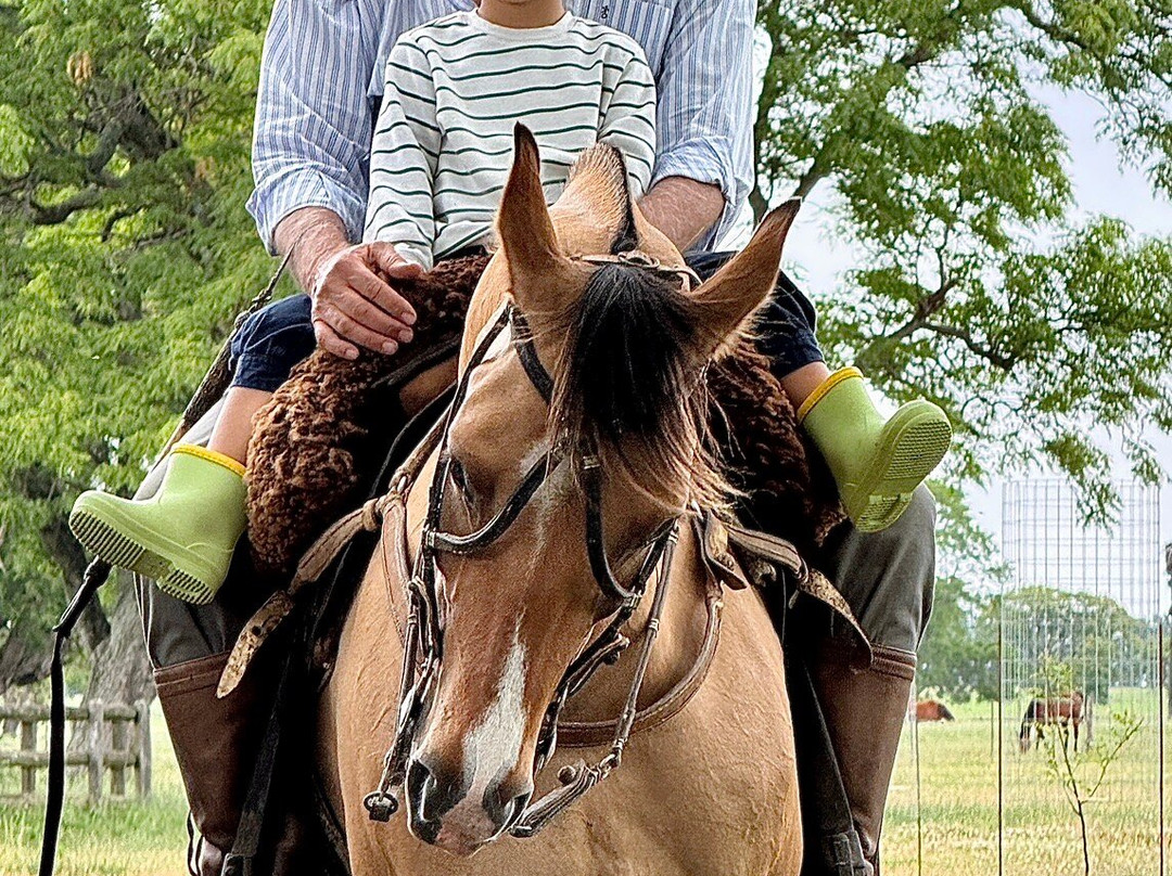 La Rábida - Estancia-San Jose de Mayo必去景点