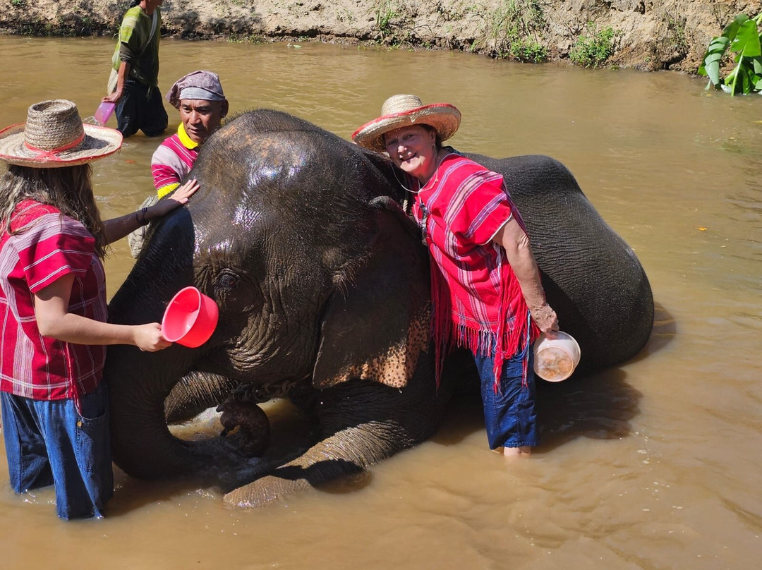 Karen Hilltribe Elephant Sanctuary-Mae Win必去景点