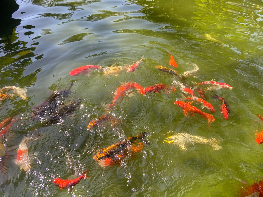 Sonata Resort & Spa主图