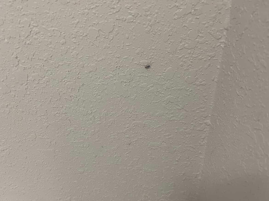 奥兰治拉金塔旅馆&套房酒店主图