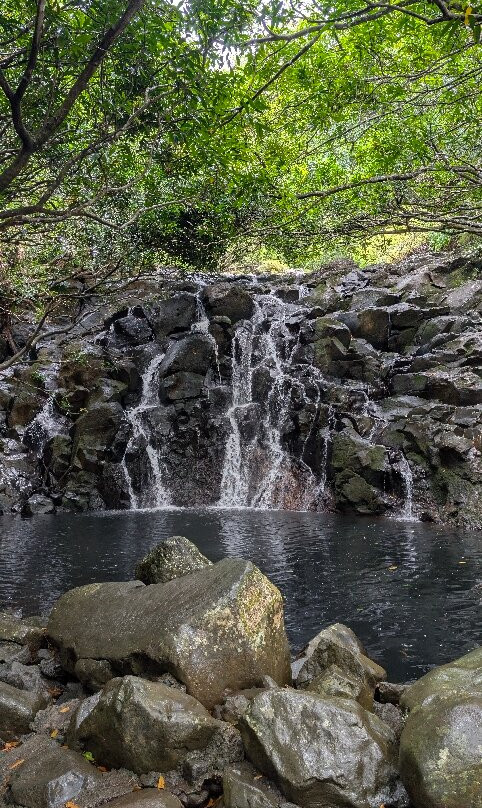 Vallé Advenature Park-Chamouny必去景点