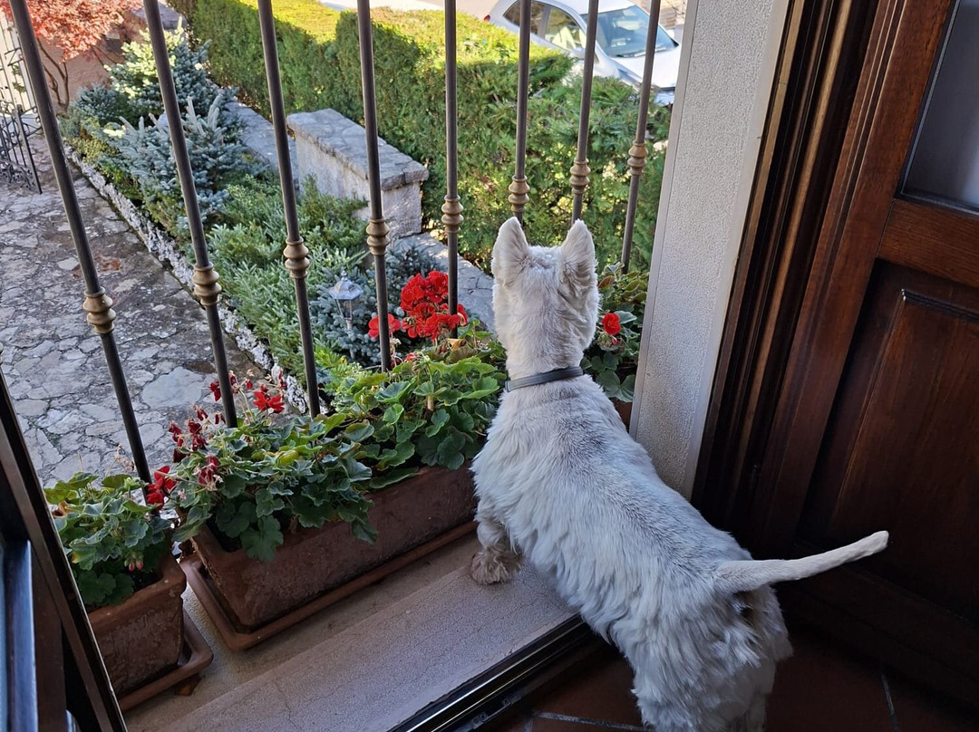 Hotel Il Bucaneve主图