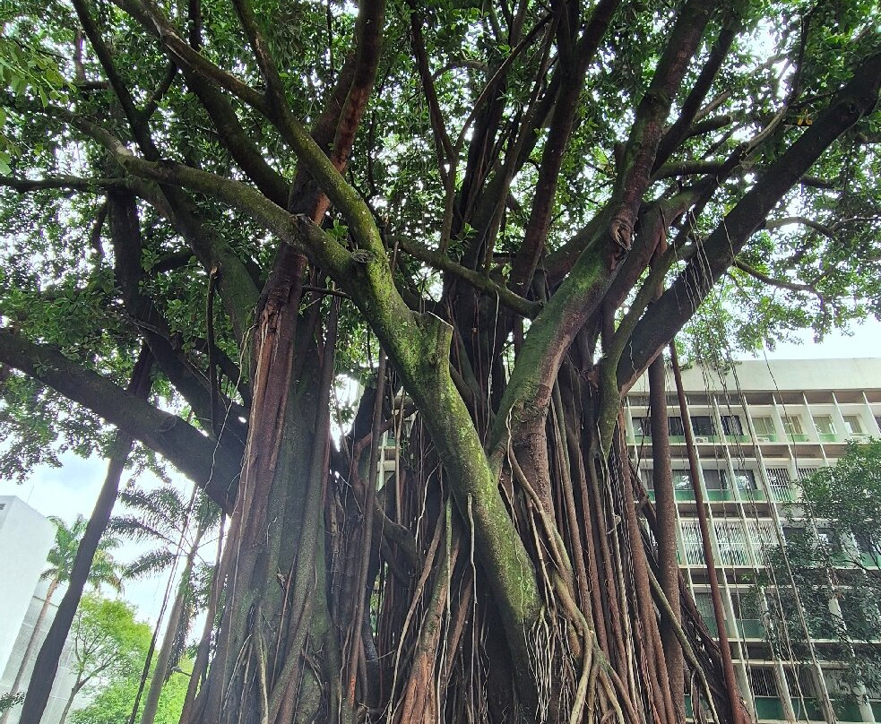 SQS 308 Quadra modelo-巴西利亚必去景点