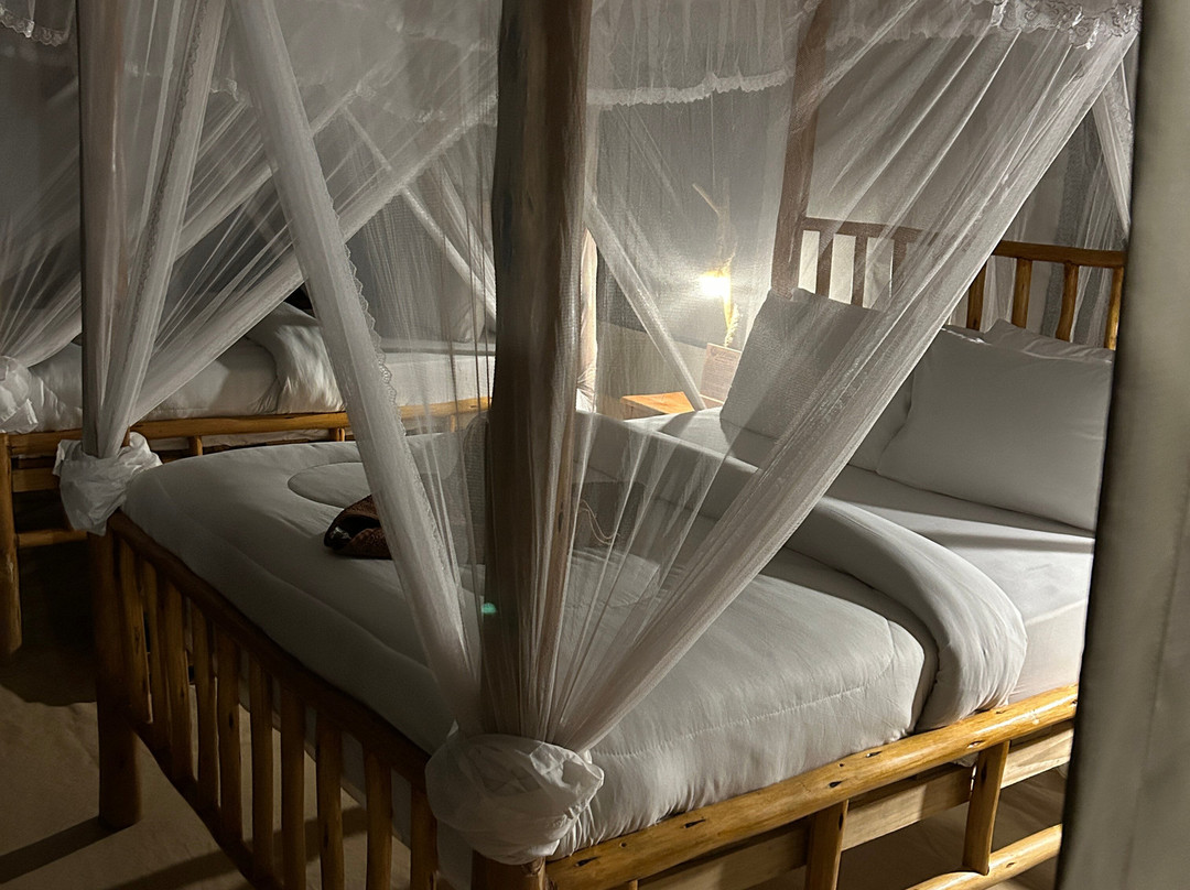 OSOTUA TENTED CAMPS-Ikoma必去景点