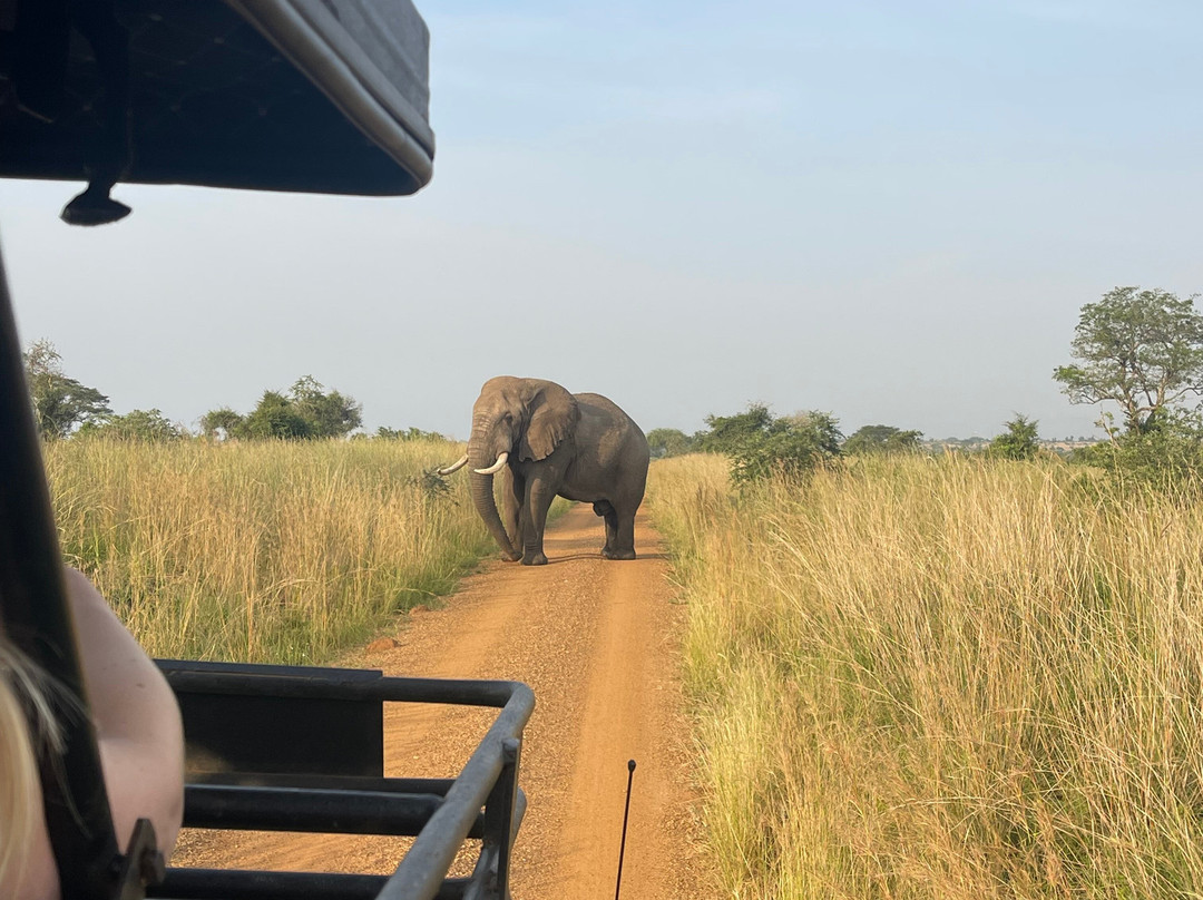 The Great Trekkers Safaris-恩德培必去景点