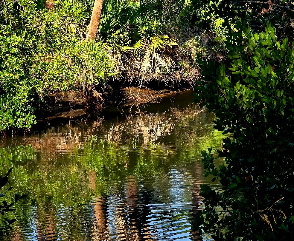 Oscar Scherer State Park-Osprey必去景点