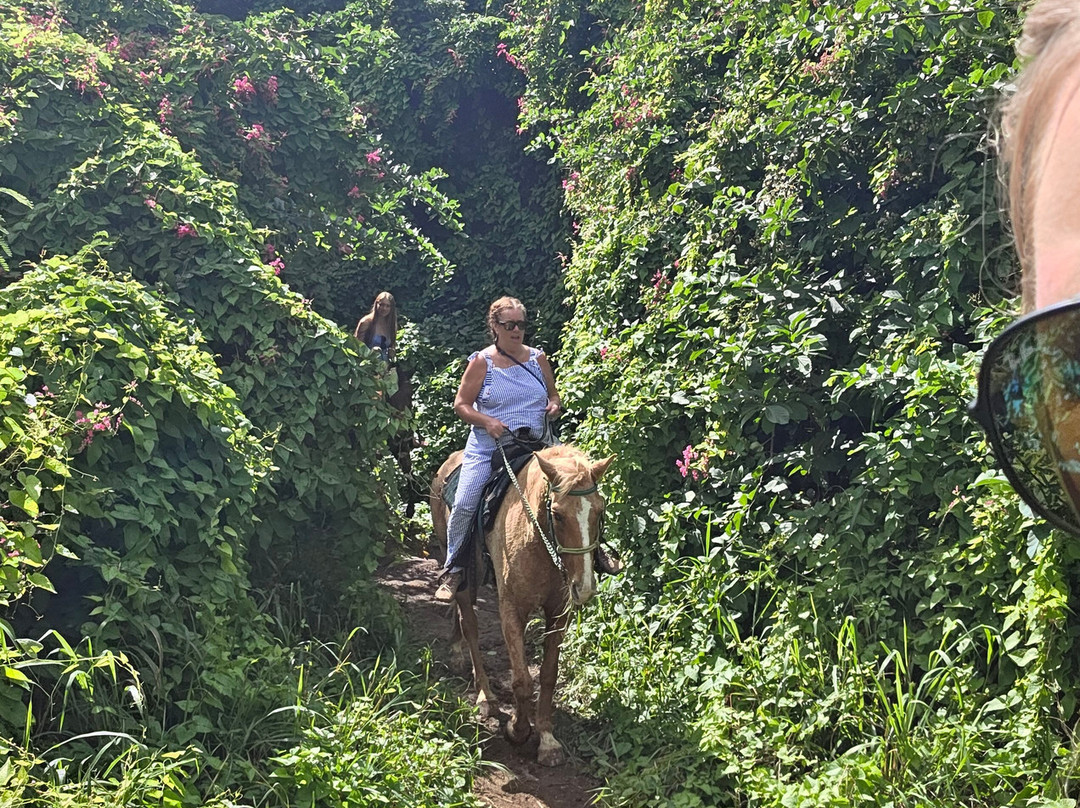 Cruzan Cowgirls-Frederiksted必去景点