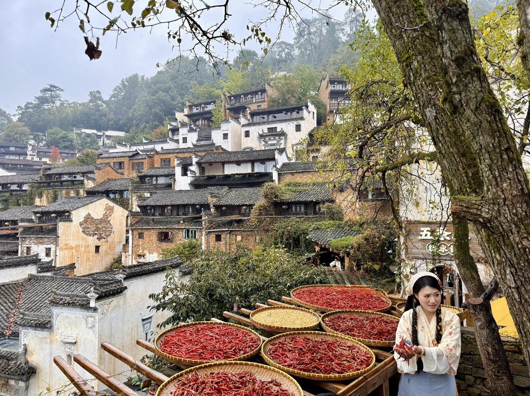 婺源篁岭景区-婺源县必去景点