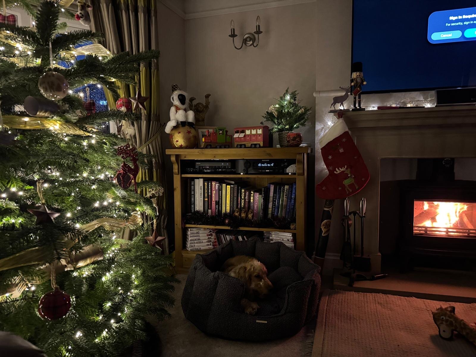 The Old Mill House-官方