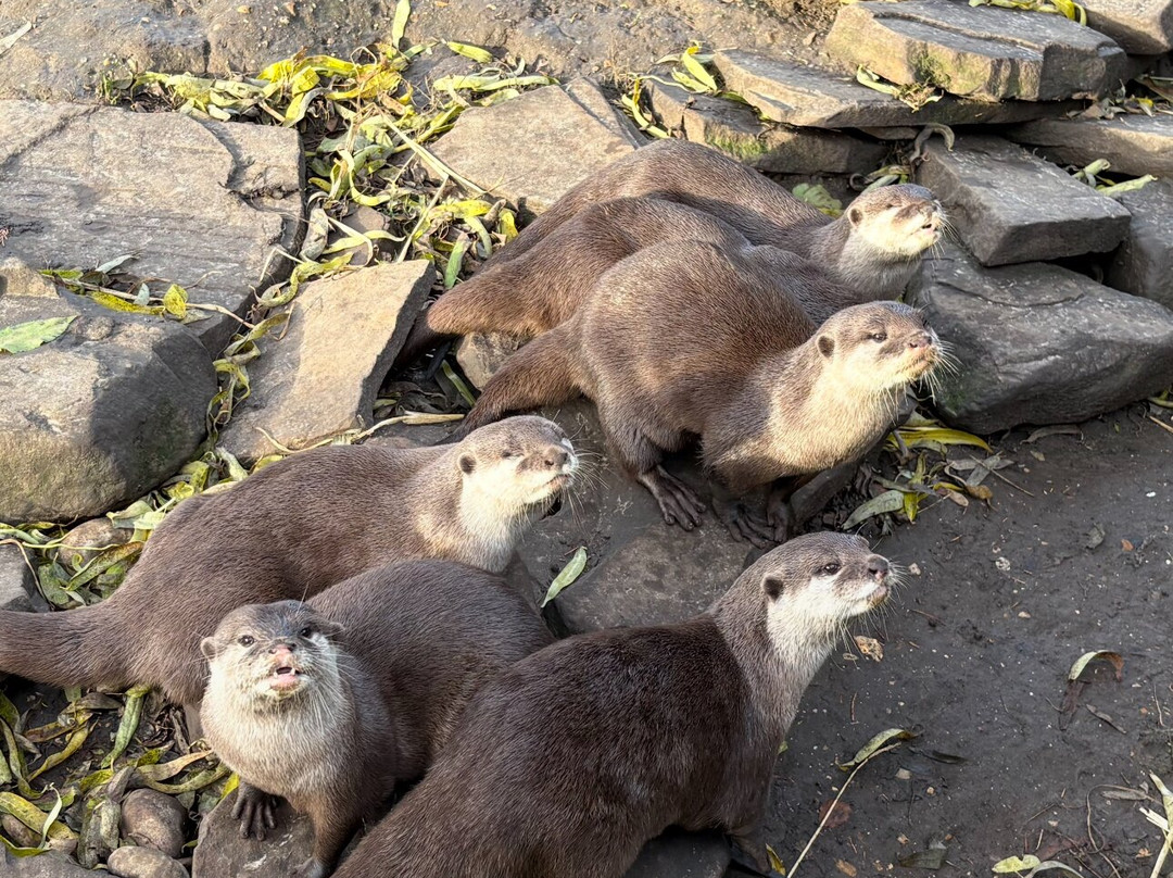 Shepreth Wildlife Park-Shepreth必去景点