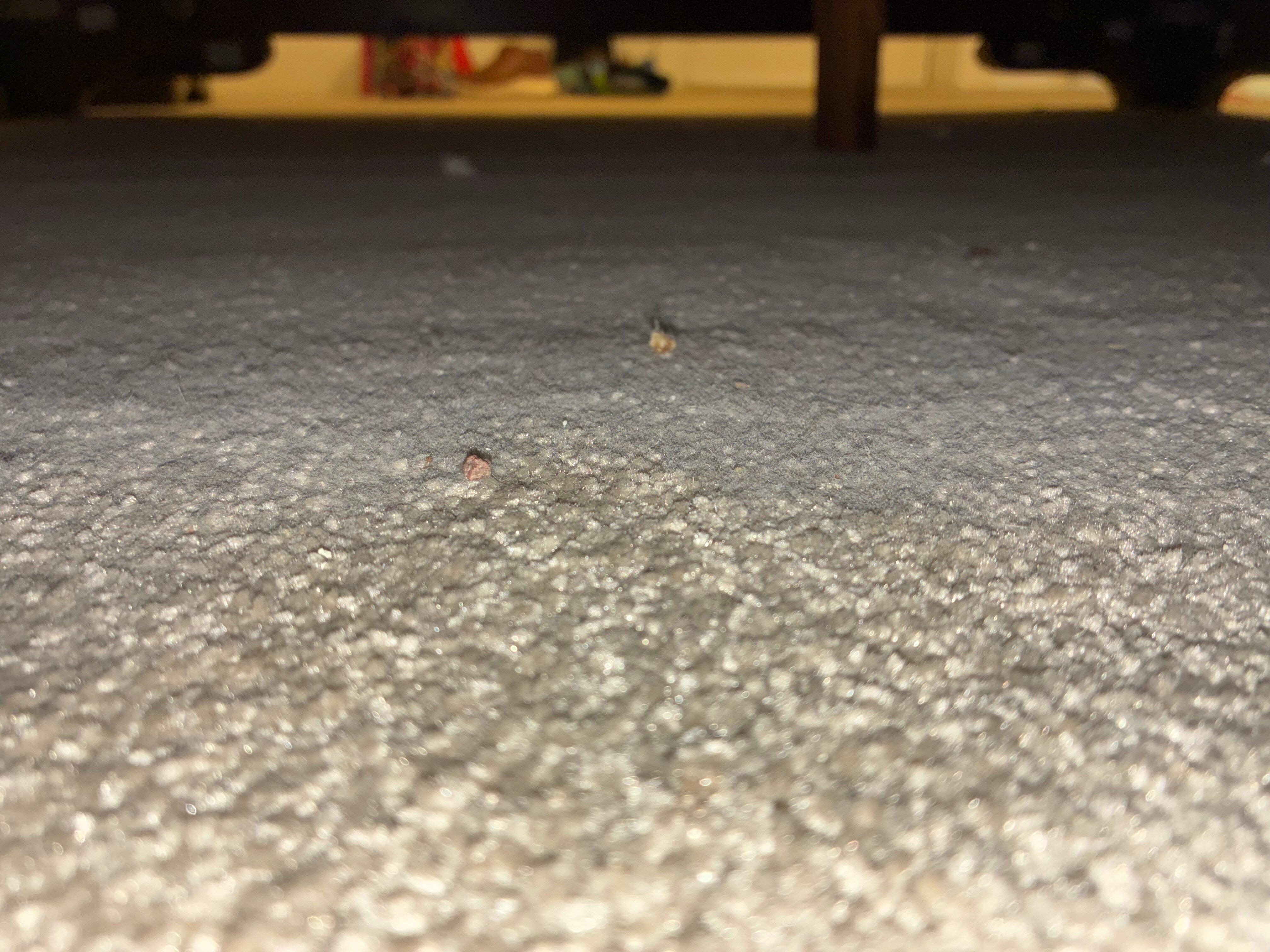 Warner Hotels - Nidd Hall-官方