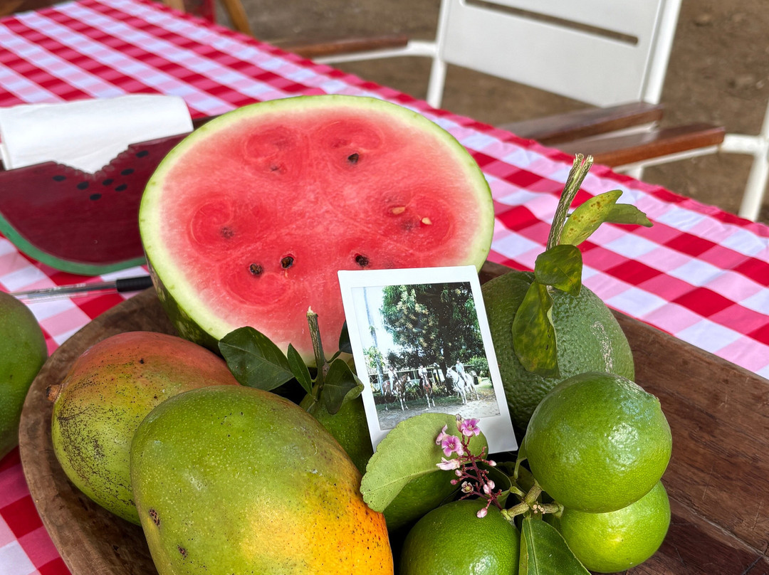 Finca La Esperanza-萨迪纳尔必去景点