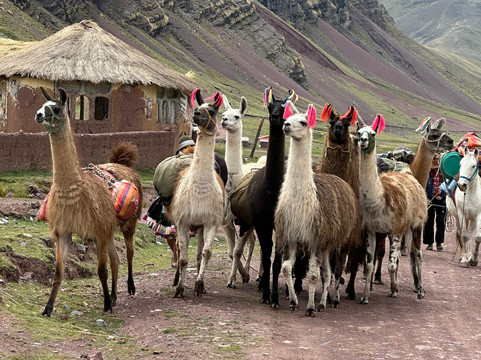 Setours-利马必去景点
