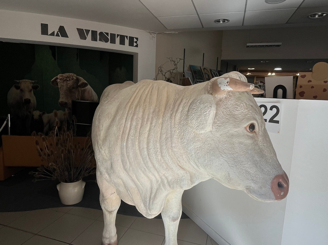 La Maison du Charolais-Charolles必去景点