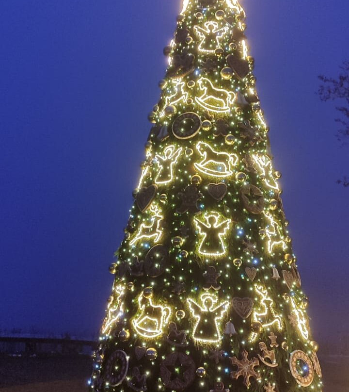 Halės Turgus-维尔纽斯必去景点