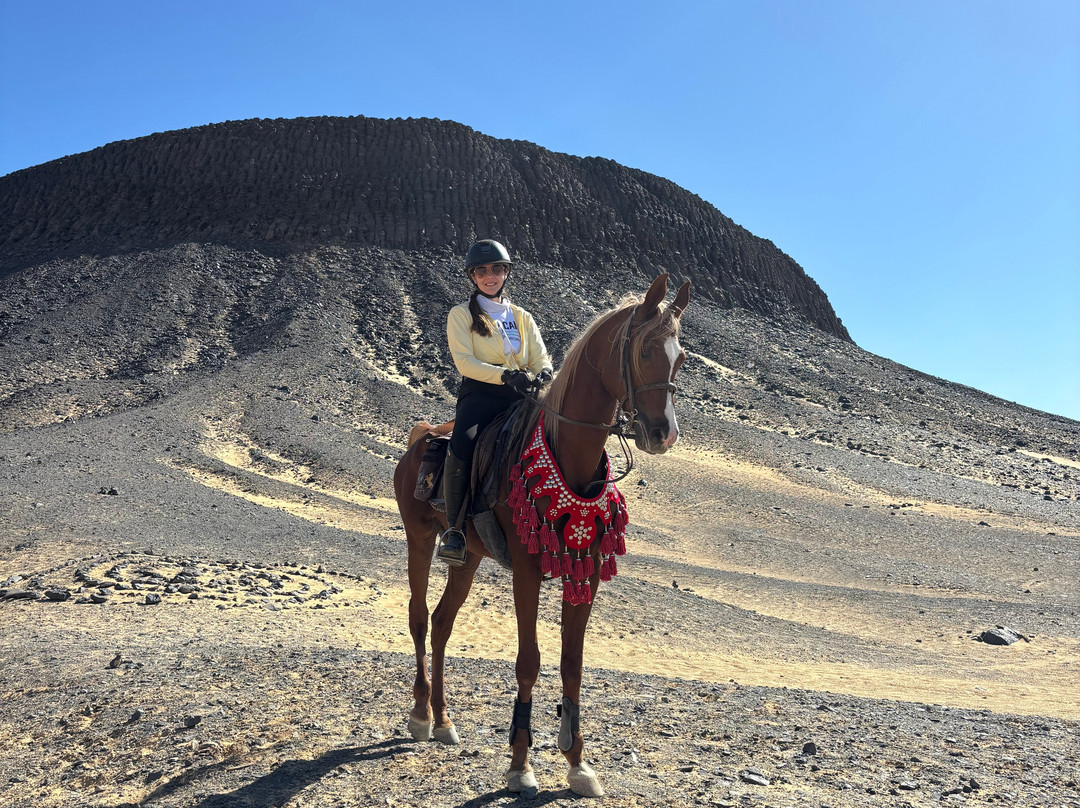 Ride Egypt-赫尔格达必去景点