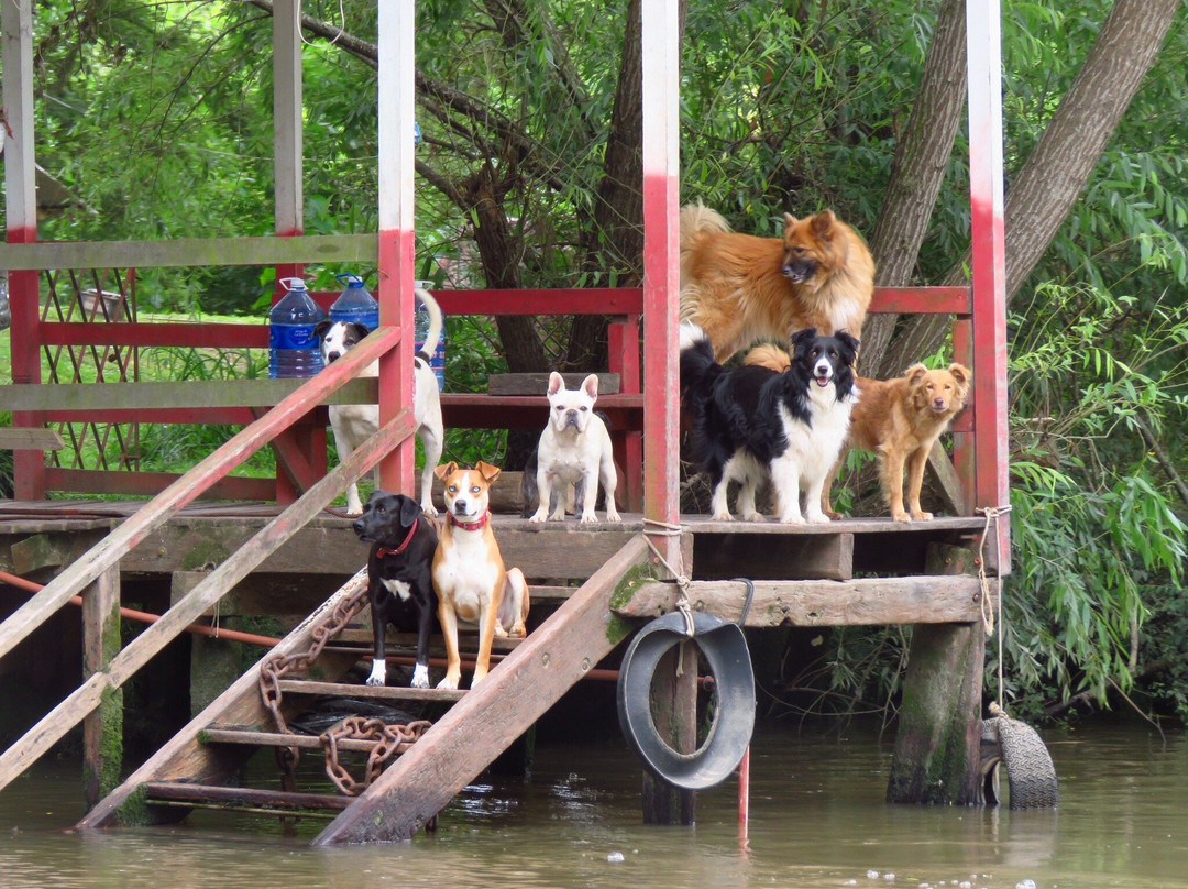 Delta Unplugged-蒂格雷必去景点