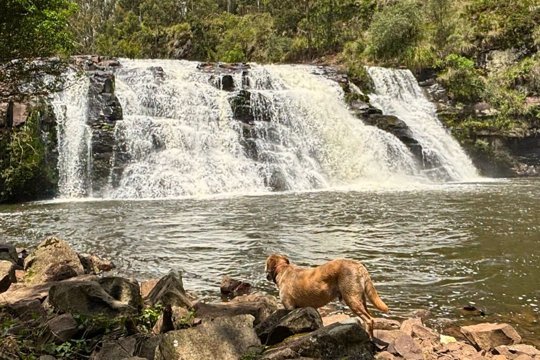 Cascata Barragem do Divisa-Sao Francisco de Paula必去景点