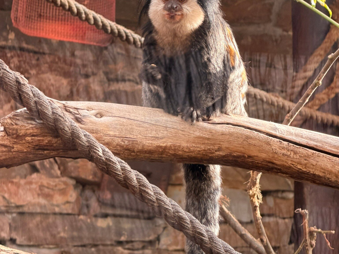 Selwo Marina-班纳玛德纳必去景点