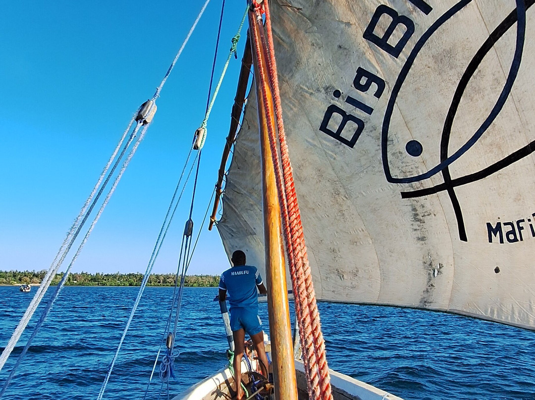 Tanzania Specialist-阿鲁沙必去景点