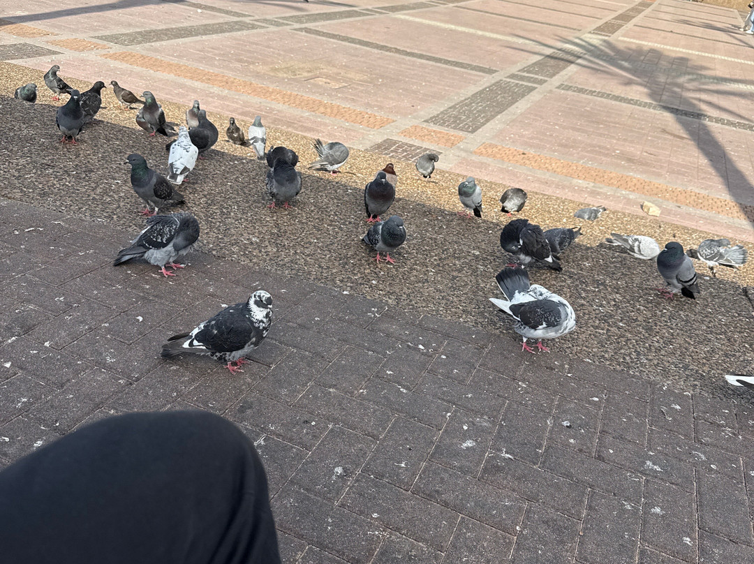 Leonardo Plaza Netanya Hotel主图