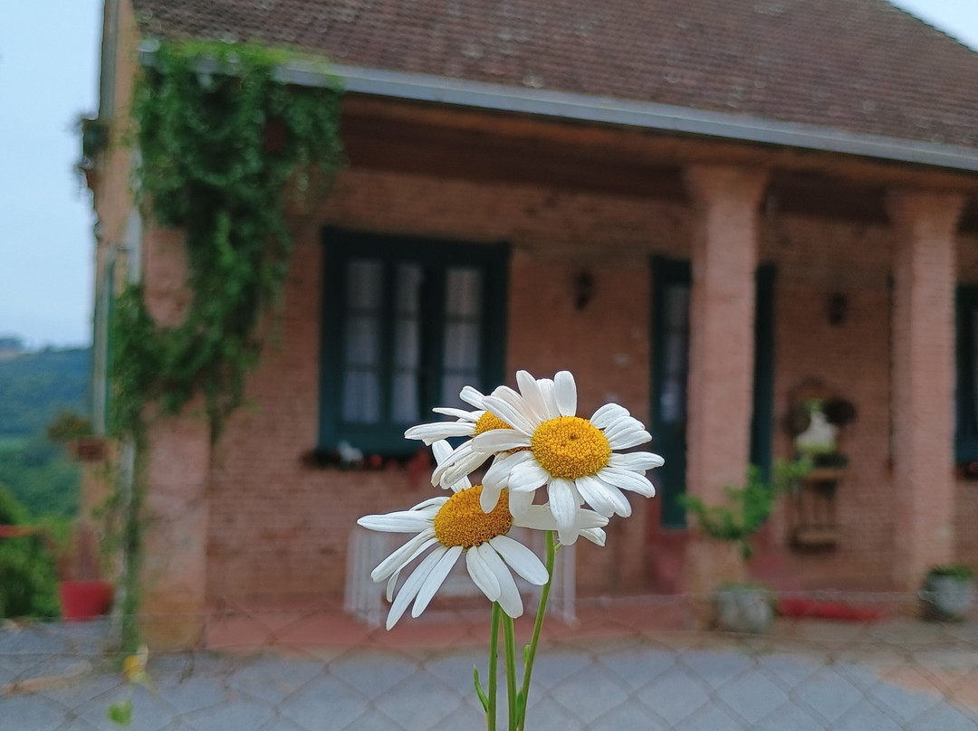 Caminhos de Pedra-本图贡萨尔维斯必去景点