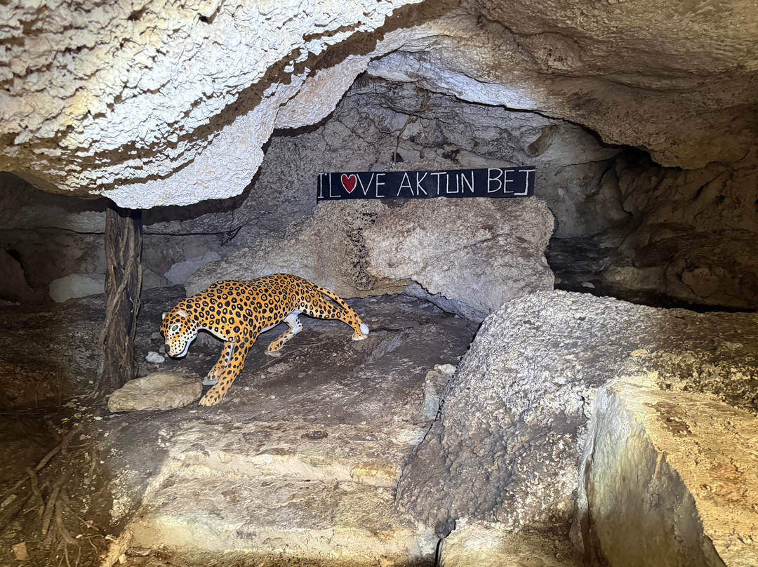 Parque Ecoturistico Cenote Aktun Bej-图伦必去景点