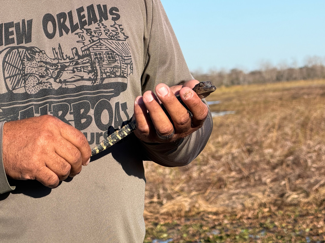 New Orleans Airboat Tours-Marrero必去景点