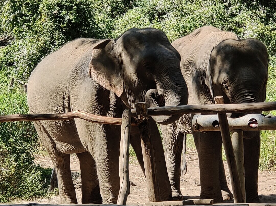 Chang Chill-Mae Win必去景点