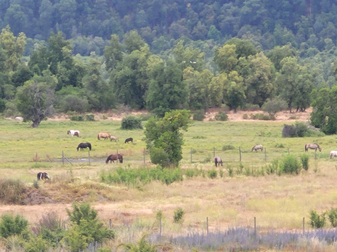 Rio Achibueno-Linares必去景点