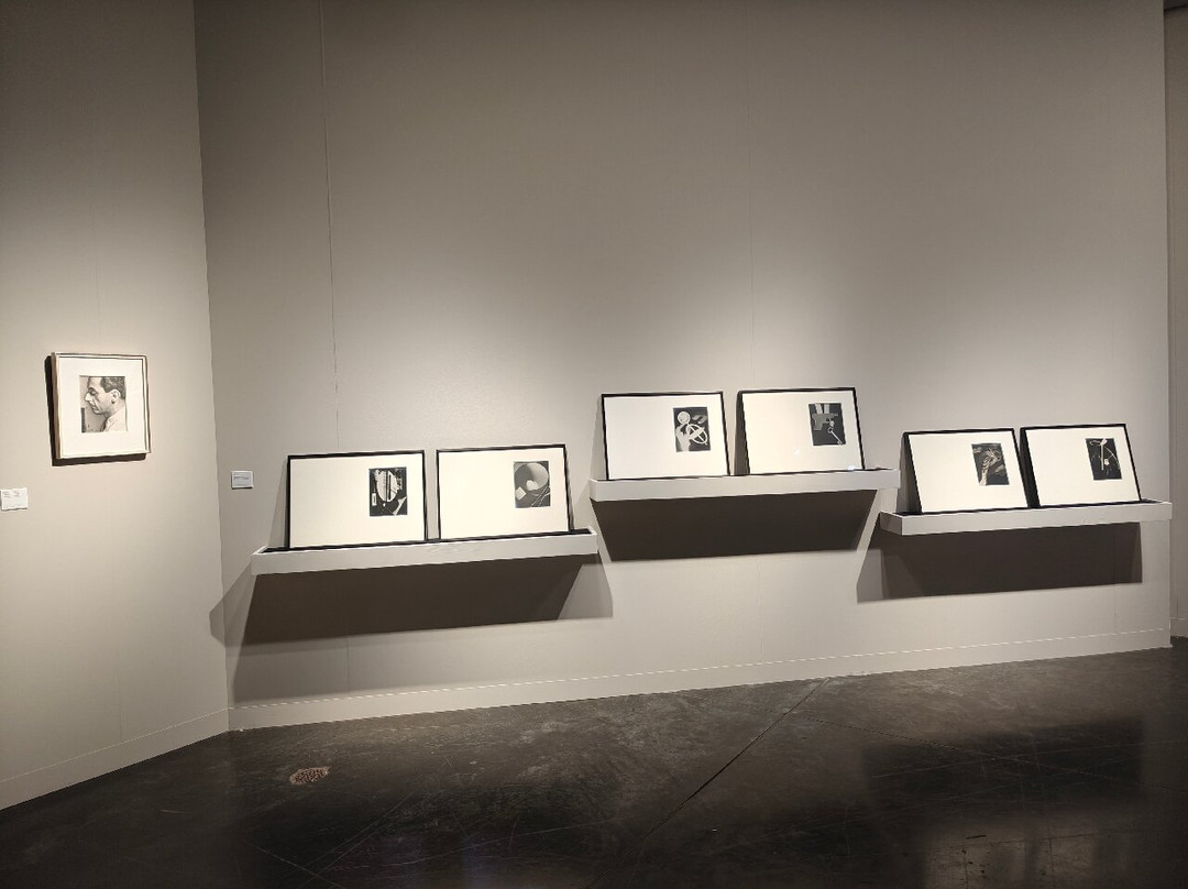 迈阿密海滩巴塞尔艺术展-迈阿密海滩必去景点