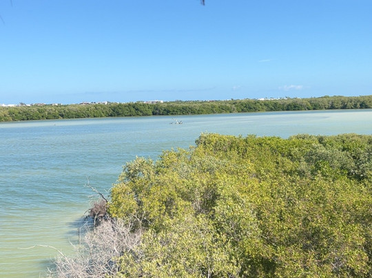 My Holbox Tours-Holbox必去景点