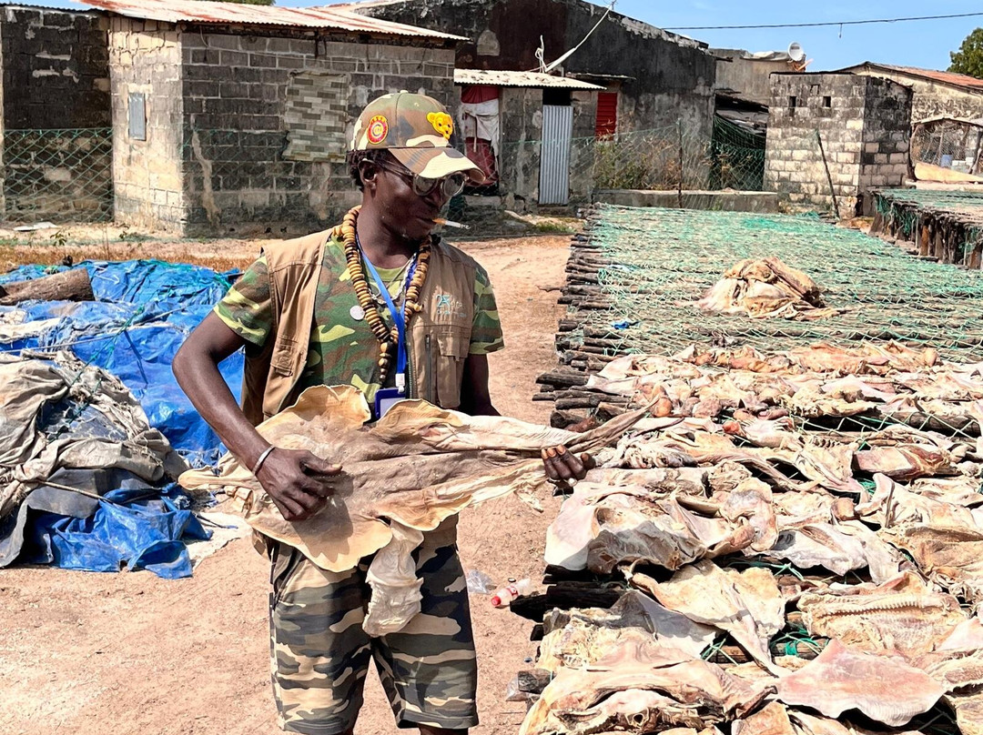 Soleil Casamance-开普史基林必去景点