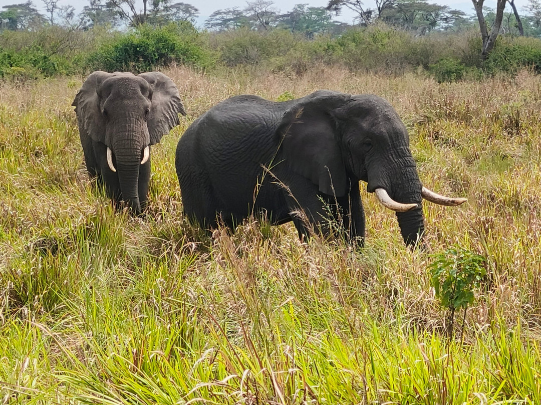 Mugenyi Eco Tours-Rubirizi必去景点