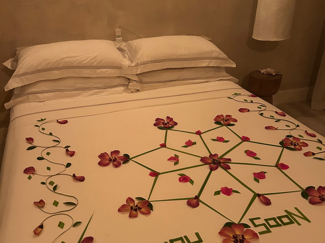 Thari Fushi Maldives主图