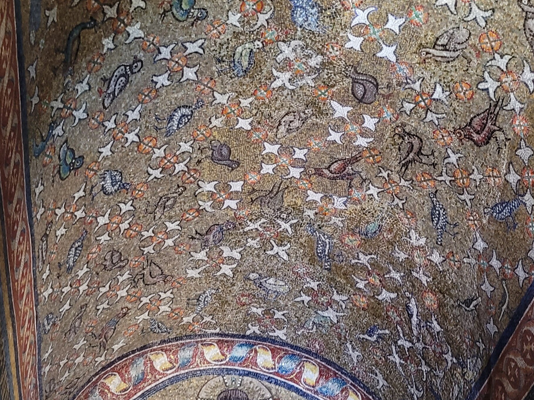 Cinzia Tittarelli Guida Turistica-拉韦纳必去景点