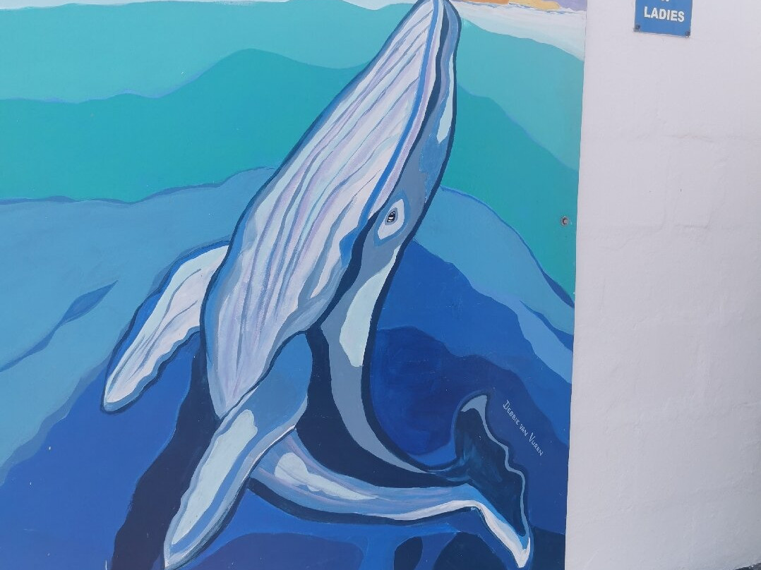 Voelklip Beach-赫曼努斯必去景点