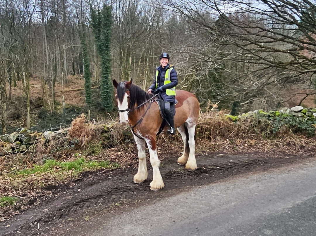 Cumbrian Heavy Horses-Millom必去景点
